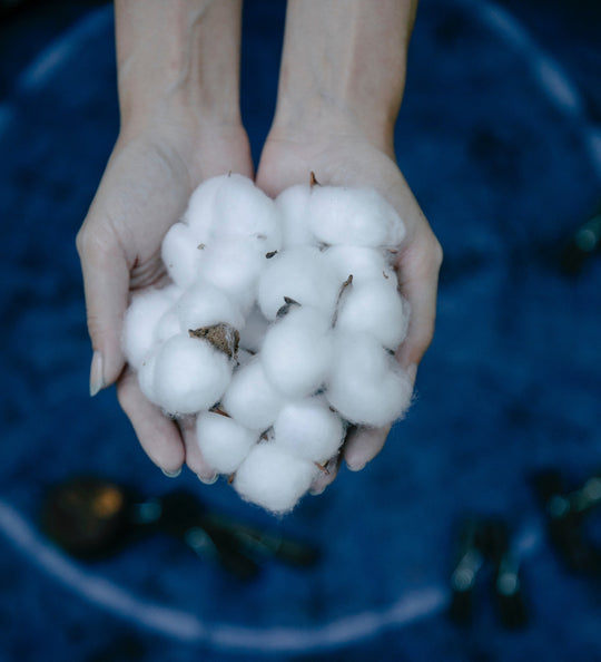 All About That Cotton