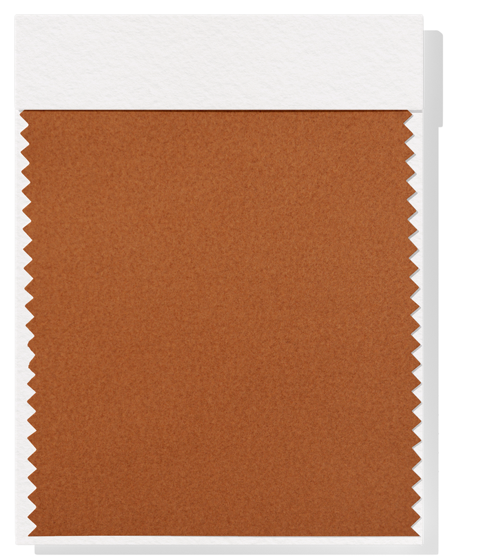 Polar Fleece $14.00p/m - Rust