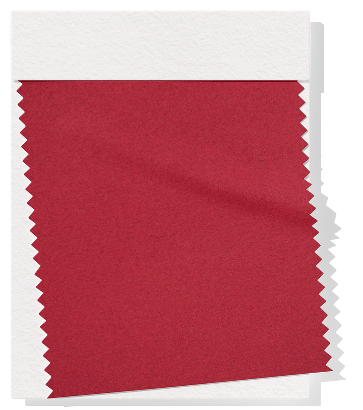 Polar Fleece $14.00p/m - Red