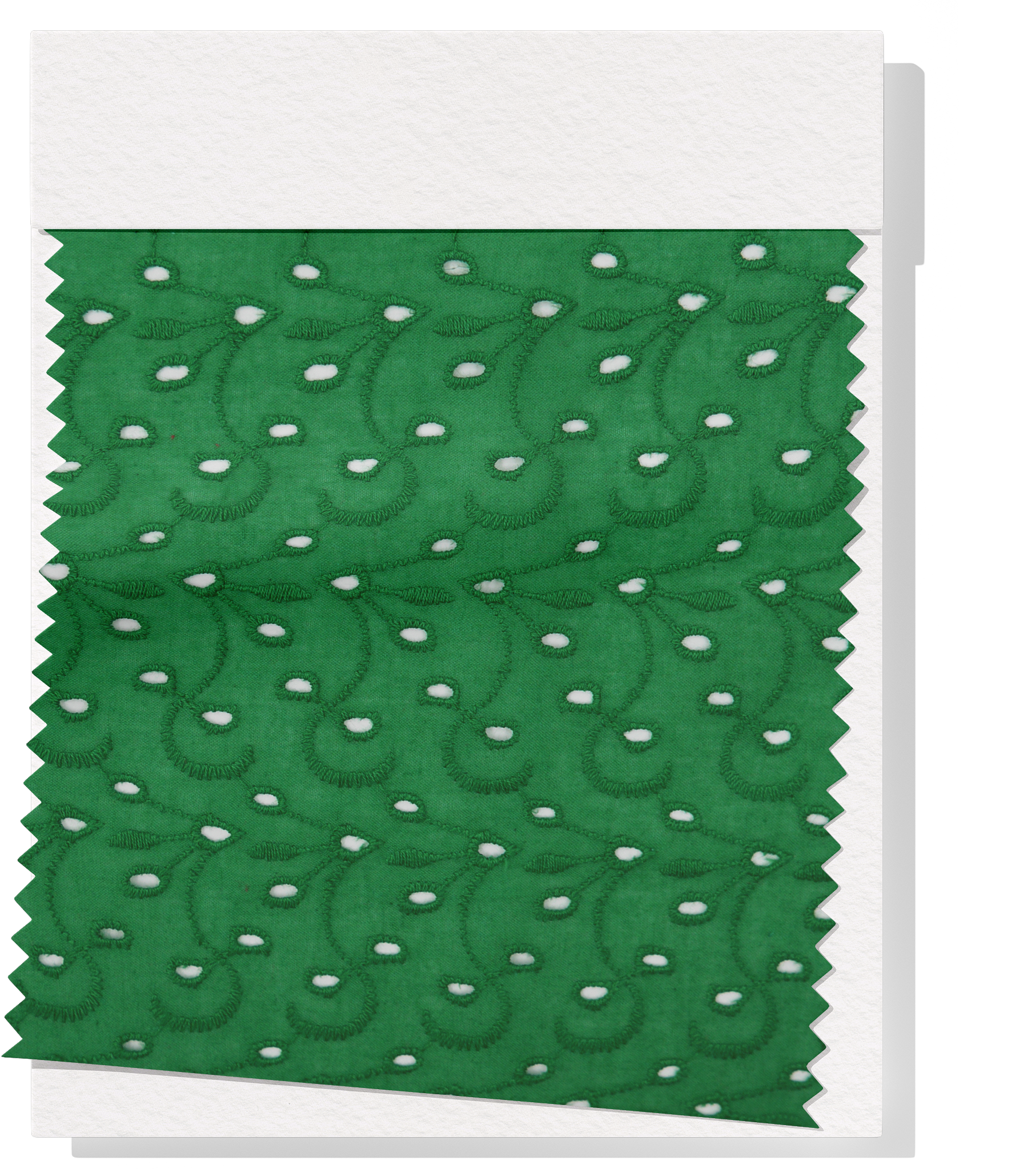 Broderie Anglaise $18.00p/m - Forest Green