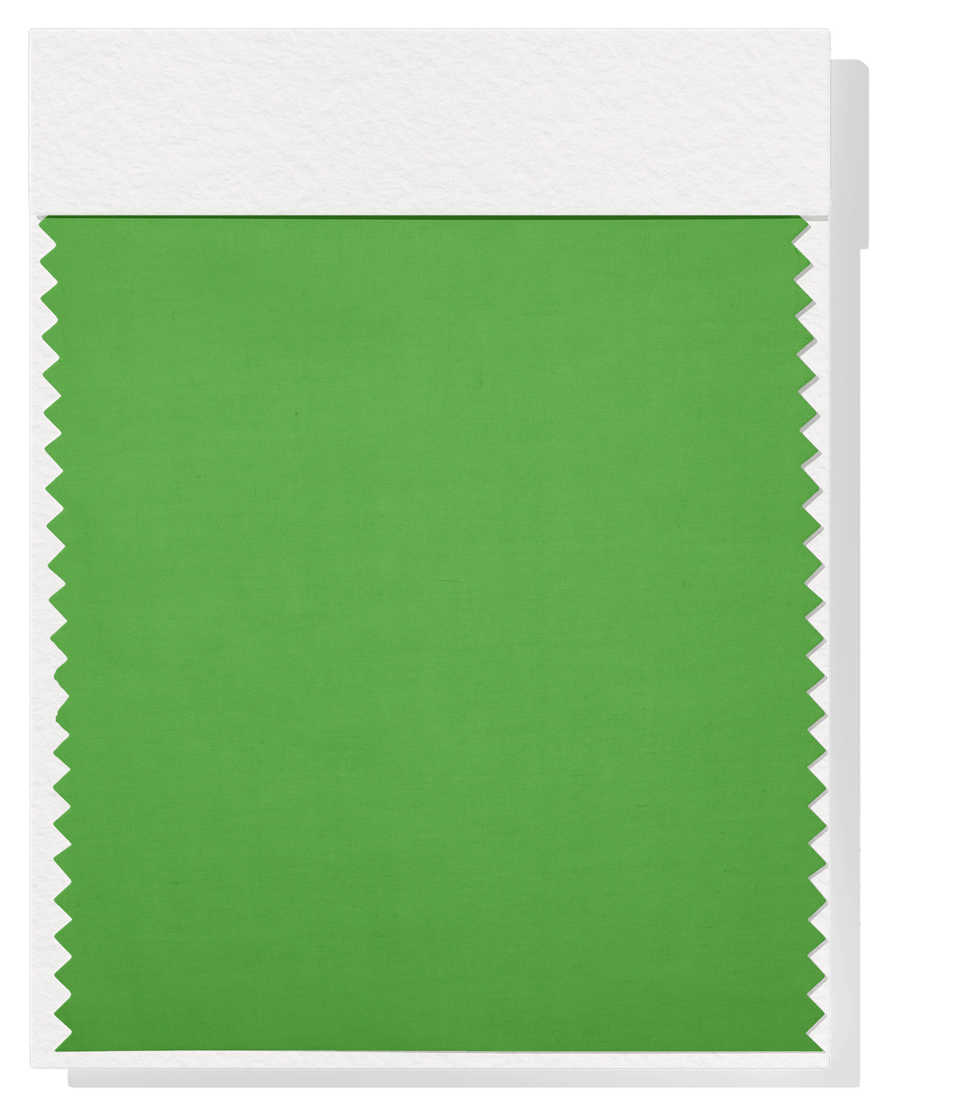Poplin $5.00p/m - Lime - The Fabric Shop